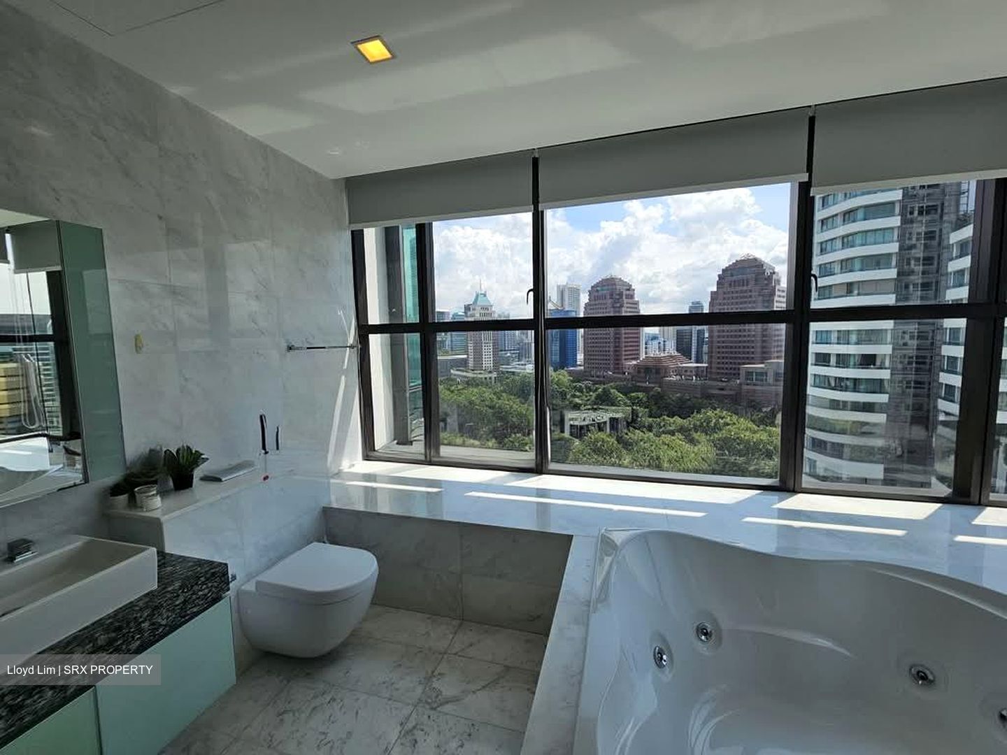 Leonie Parc View (D9), Apartment #528677581